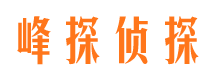 泗洪找人公司